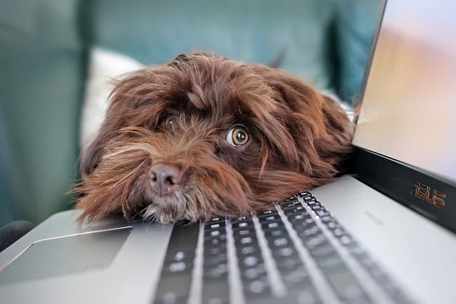 This Simple SEO Strategy What Will Skyrocket Your Google Rankings